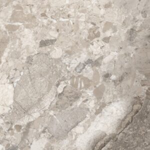 REAM MOCHA POLISHED 100cm x 100cm  PORCELAIN WALL & FLOOR TILE